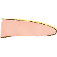 舌苔が薄くて白い