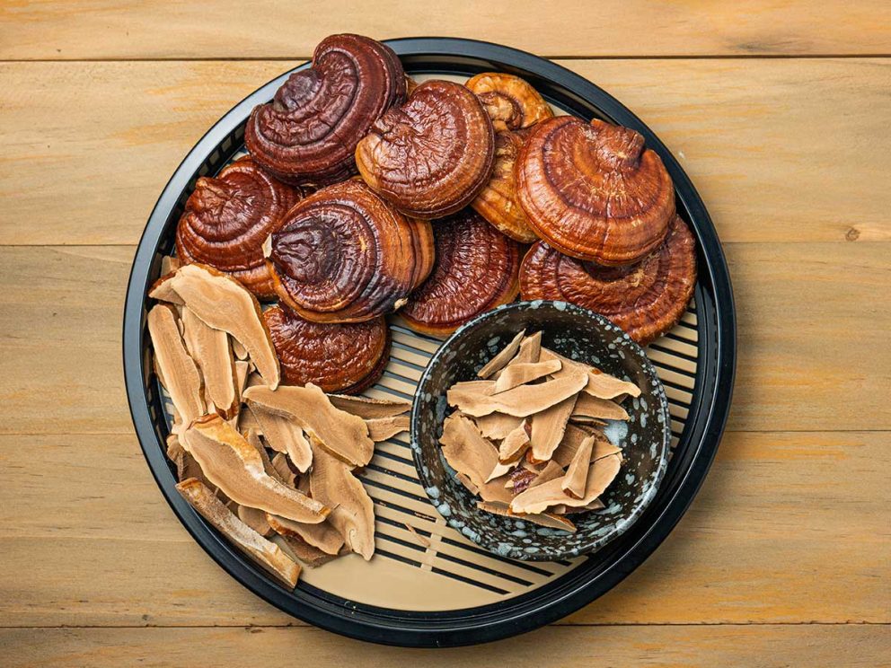 この生薬を見つけたら、身内でも内緒にしておこう！