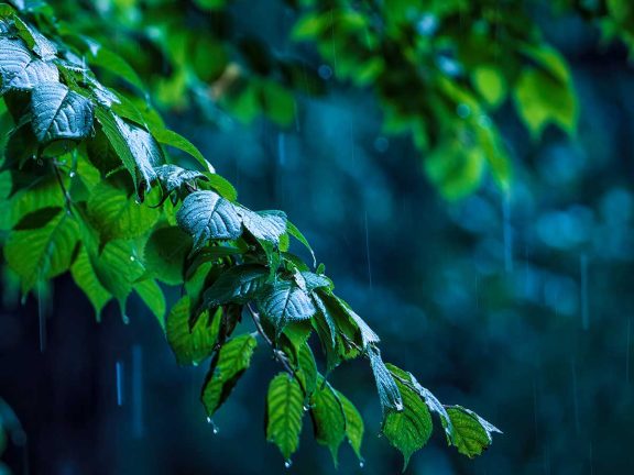 雨が多い日は「香蘇散」