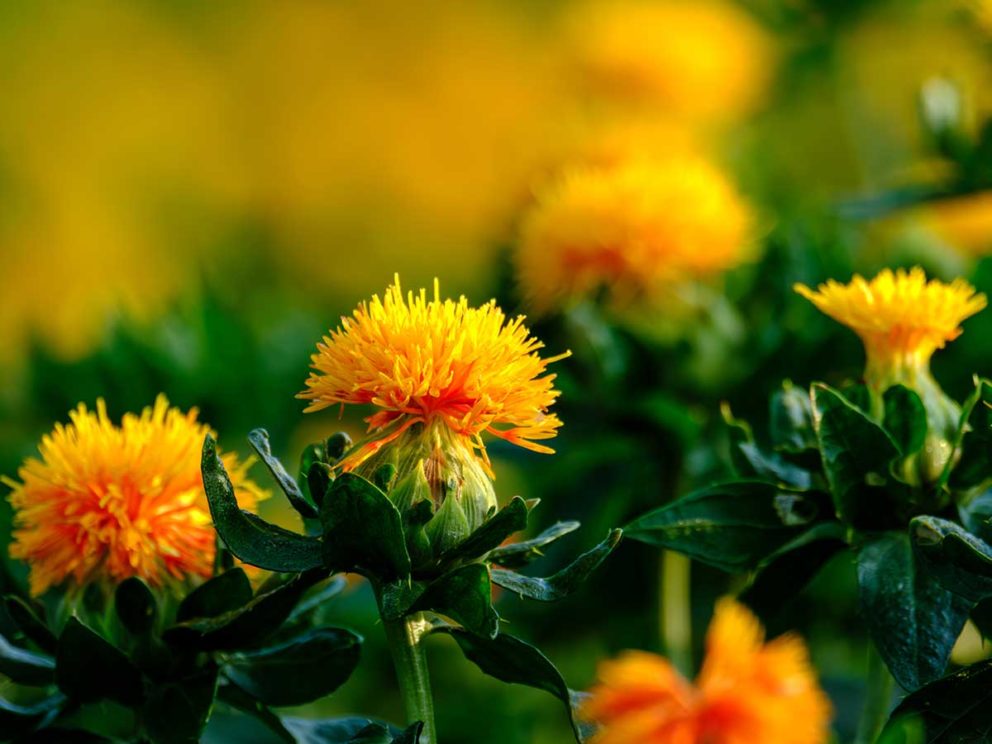 「小満」に負けない！