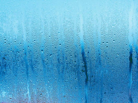 水毒の原因となる「湿」対策を