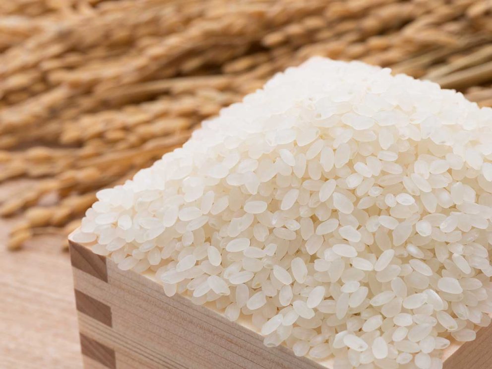 日本人が恐れた病気「脚気」