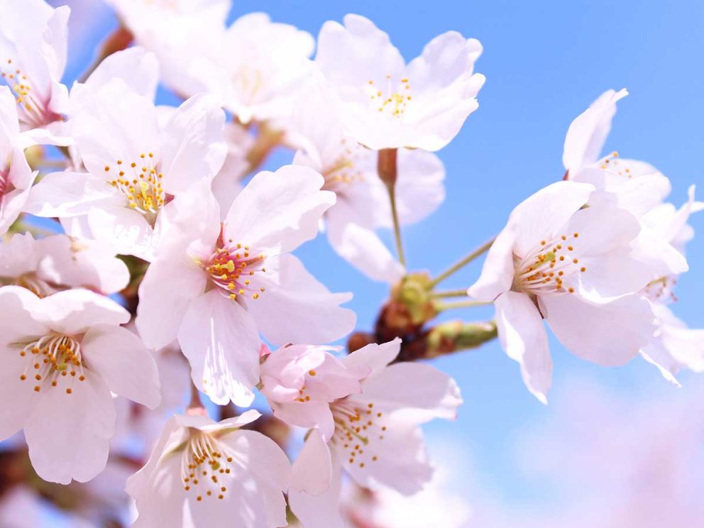 新生活がスタートして気をつけたいこと