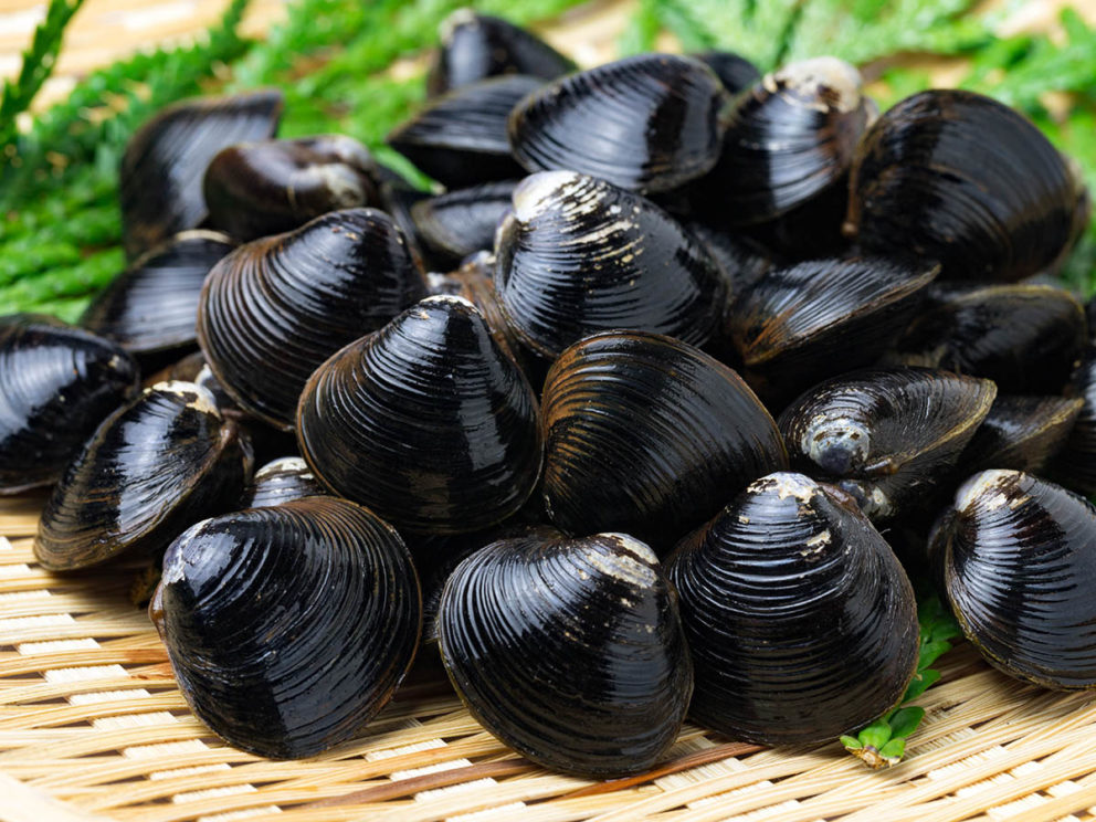 「シジミ」の効果は「オルニチン」