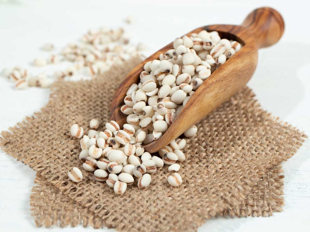 ハトムギの驚くべき健康効果