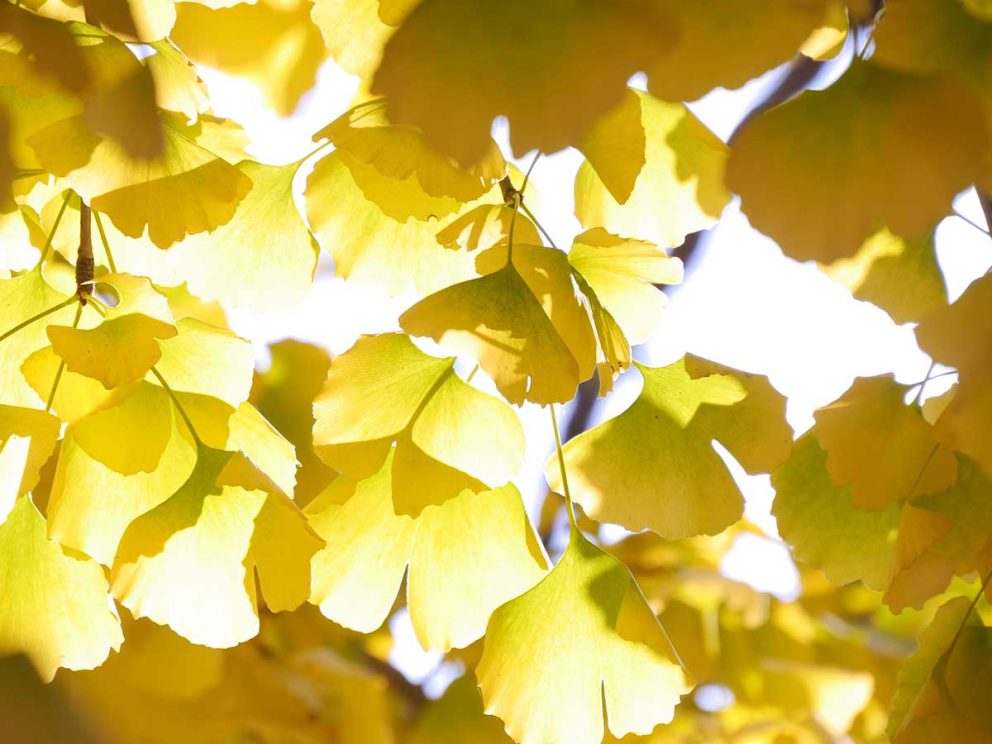 寒暖差アレルギーについて