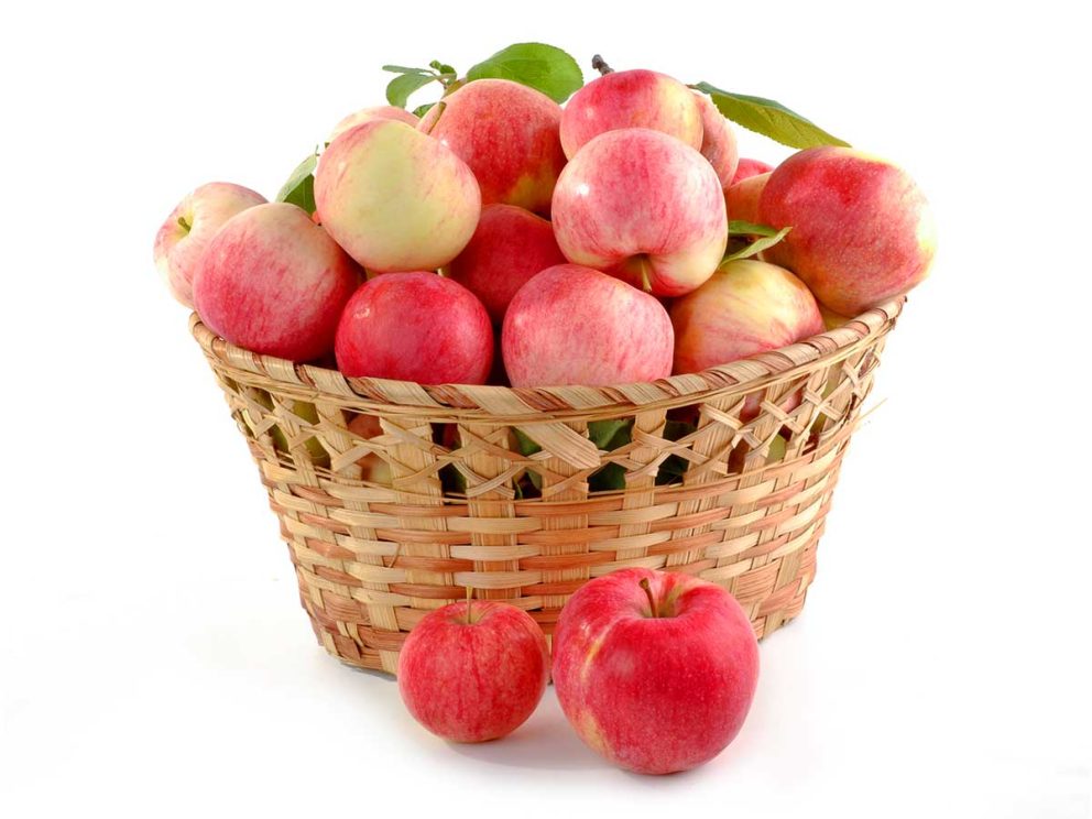 りんご病の感染と予防