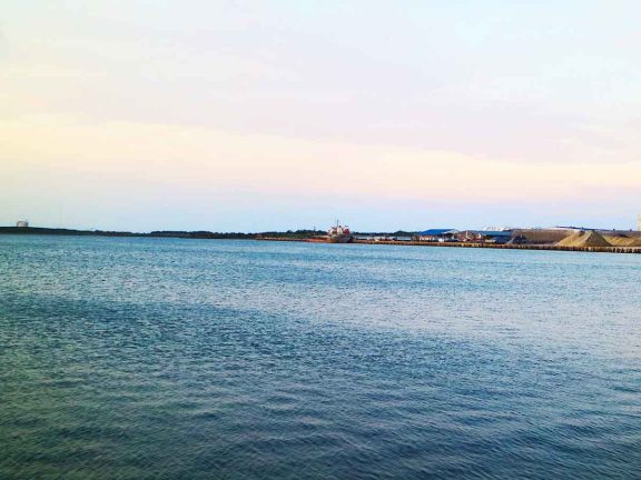 エソラ漢方通信Web版 VOL.34