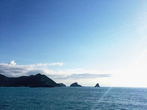 エソラ漢方通信Web版 VOL.36