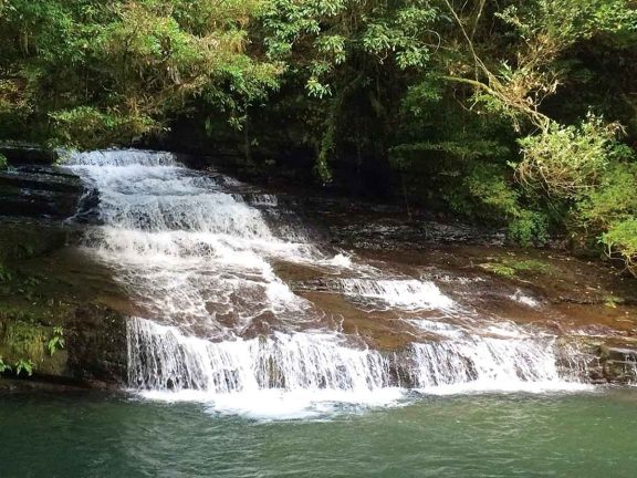 エソラ漢方通信Web版 VOL.29